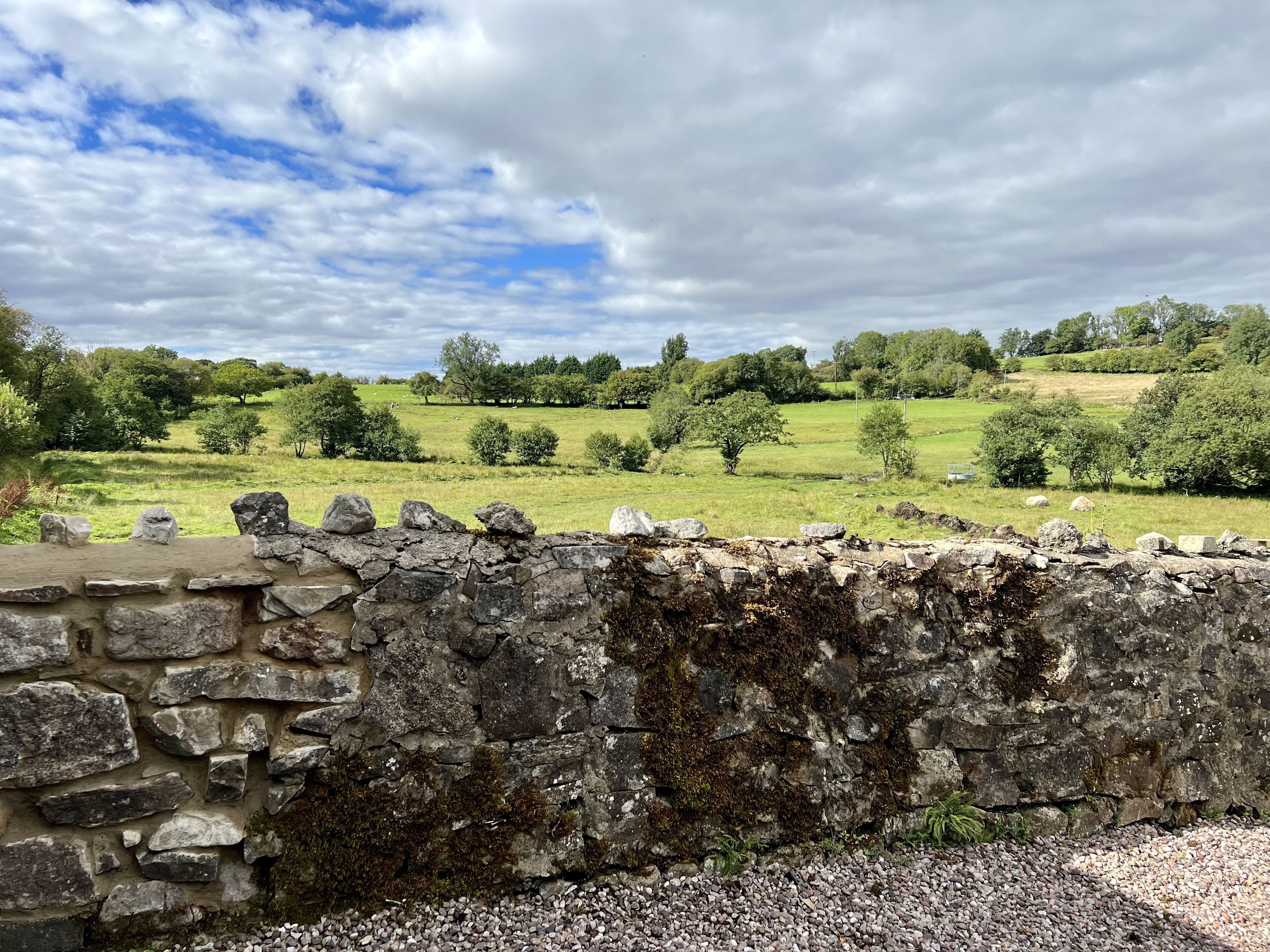 A stone wall with a grassy field and trees in the background.
