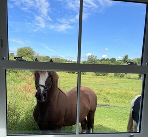 Cottage | View from property - Penderyn Cottage, Waterfall Country, Brecon Beacons (Aberdare)