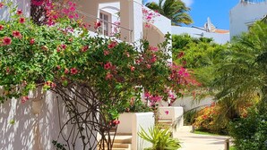 A pathway leading to a white building with pink flowering plants and a clear blue sky.