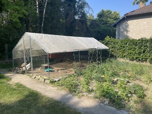 Terrain de l’hébergement 