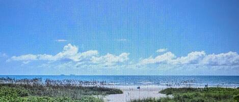 Plage à proximité, chaises longues, serviettes de plage