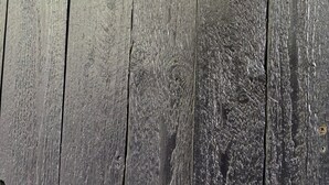 A rustic wooden fence with a sign that reads "Star Dust."