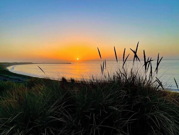 Escape to a serene coastal haven with tall grasses swaying in the breeze.