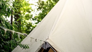 A tent in a forested area. - Bedouin Bell Tent (Woolton Hill)