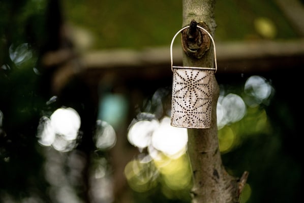 A lantern hanging on a tree branch.