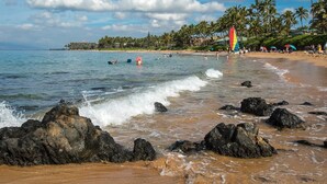 Une plage avec un rivage rocheux, des palmiers et un voilier aux couleurs vives.