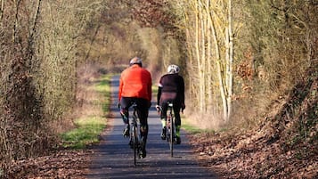 Two cyclists on a tree-lined path.