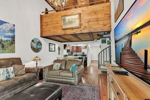 电视、壁炉、DVD 播放器