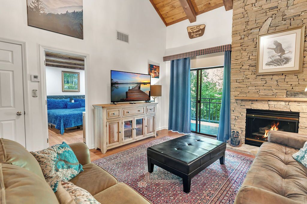 Télévision, cheminée, lecteur de DVD