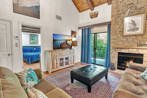 电视、壁炉、DVD 播放器