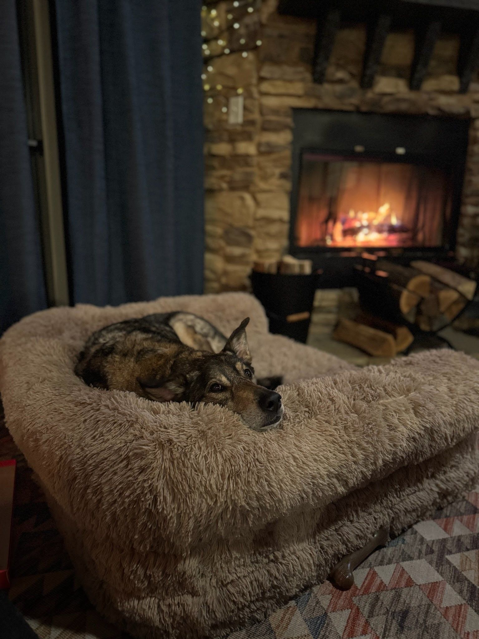 Un chien est allongé sur un coussin moelleux dans une pièce dont un des murs est en pierre et qui contient une cheminée.
