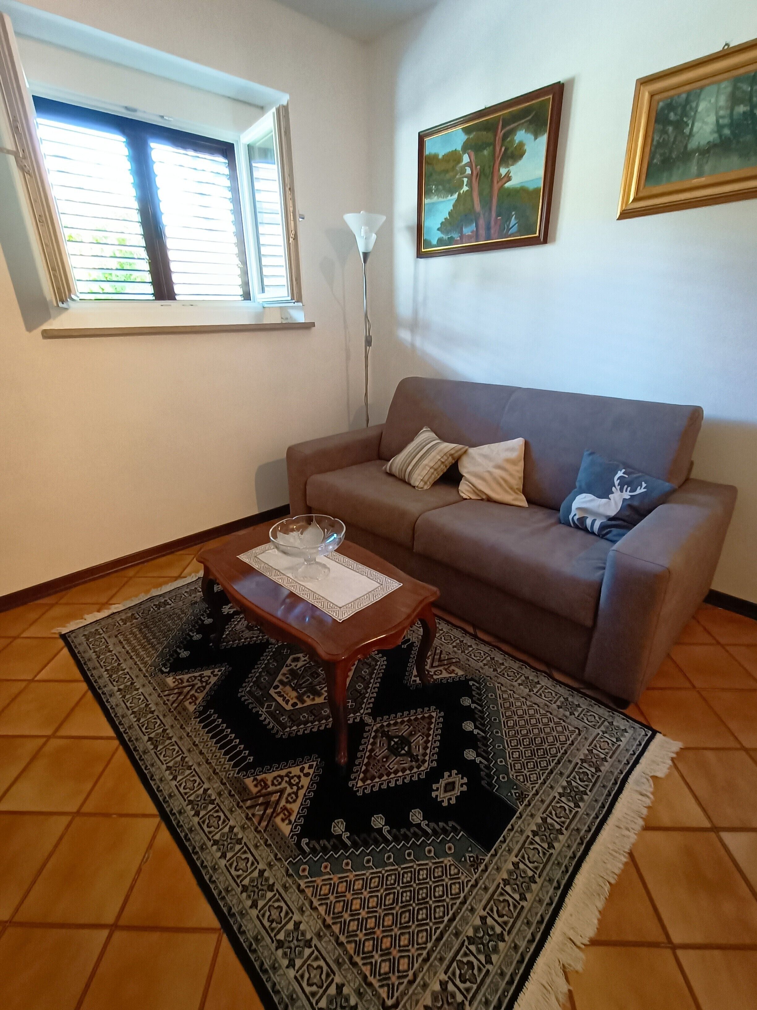 Televisión y tenis de mesa 