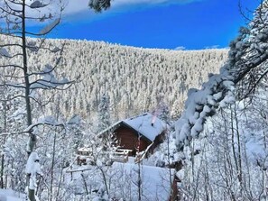 Une cabane entourée d’une forêt enneigée, sous un ciel bleu dégagé.