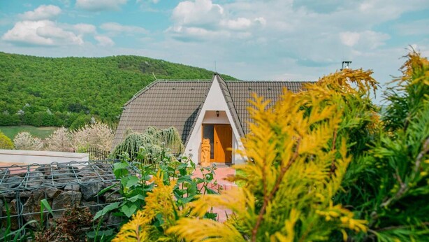 A small, modern house with a sloped roof, surrounded by lush greenery and a clear sky. - Captivating 3-bedrooms Cottage in the Hills (Uhliská)