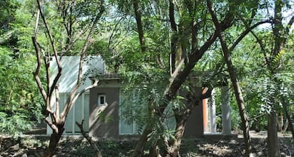 Beautiful cottages in nature and near the river
