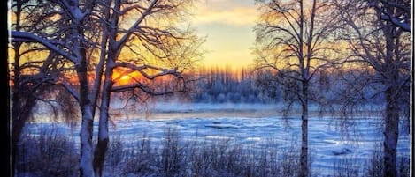 A winter landscape with bare trees and a frozen river.