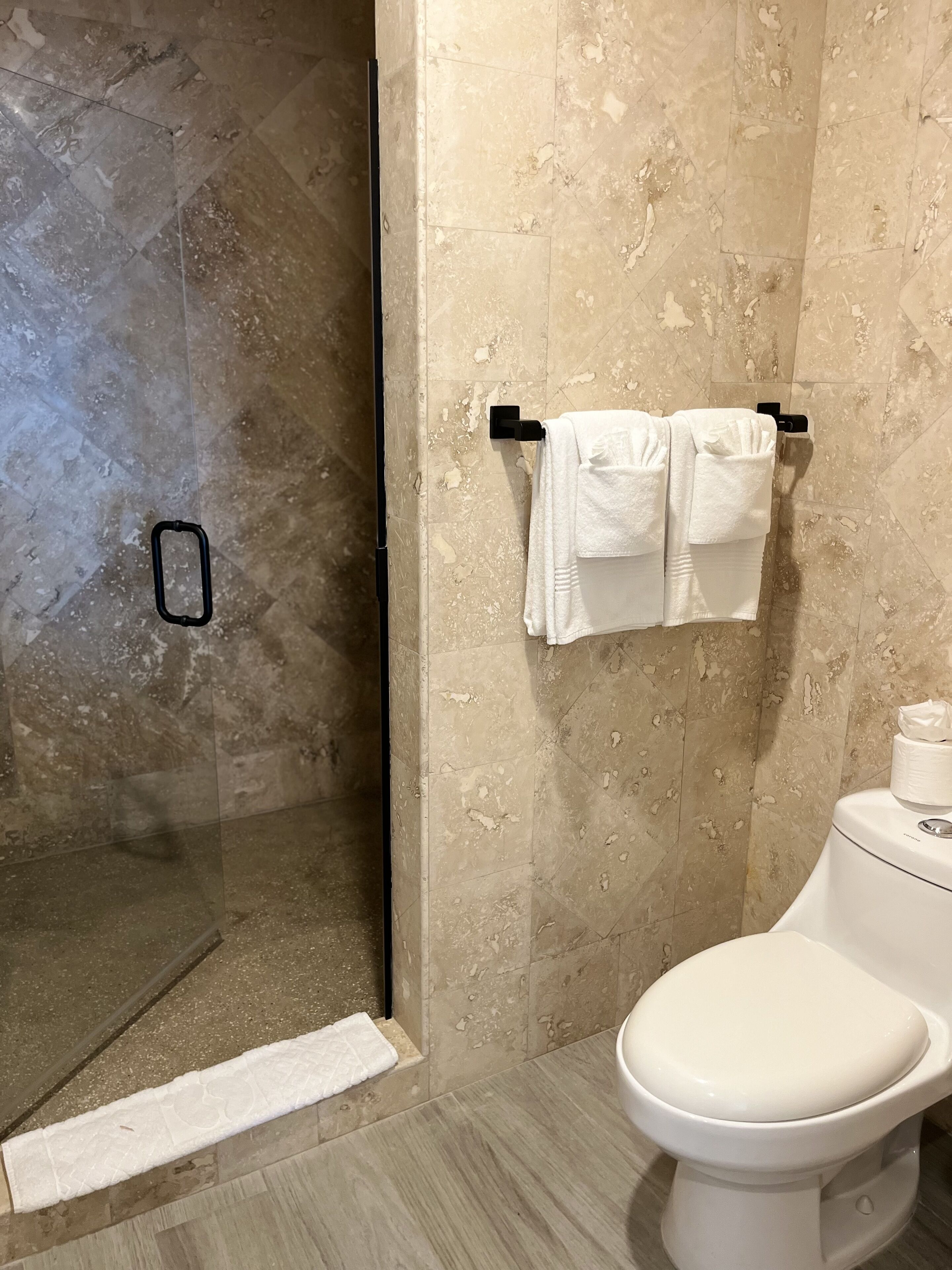 A bathroom with a glass shower enclosure, a toilet, and a towel rack with two towels.