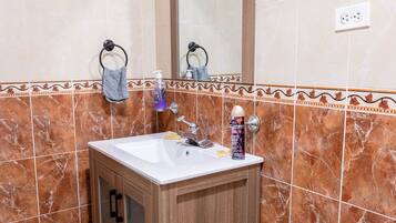 Shower, hair dryer, bidet, towels