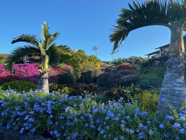 A garden with palm trees, blue flowers, and a building in the background.