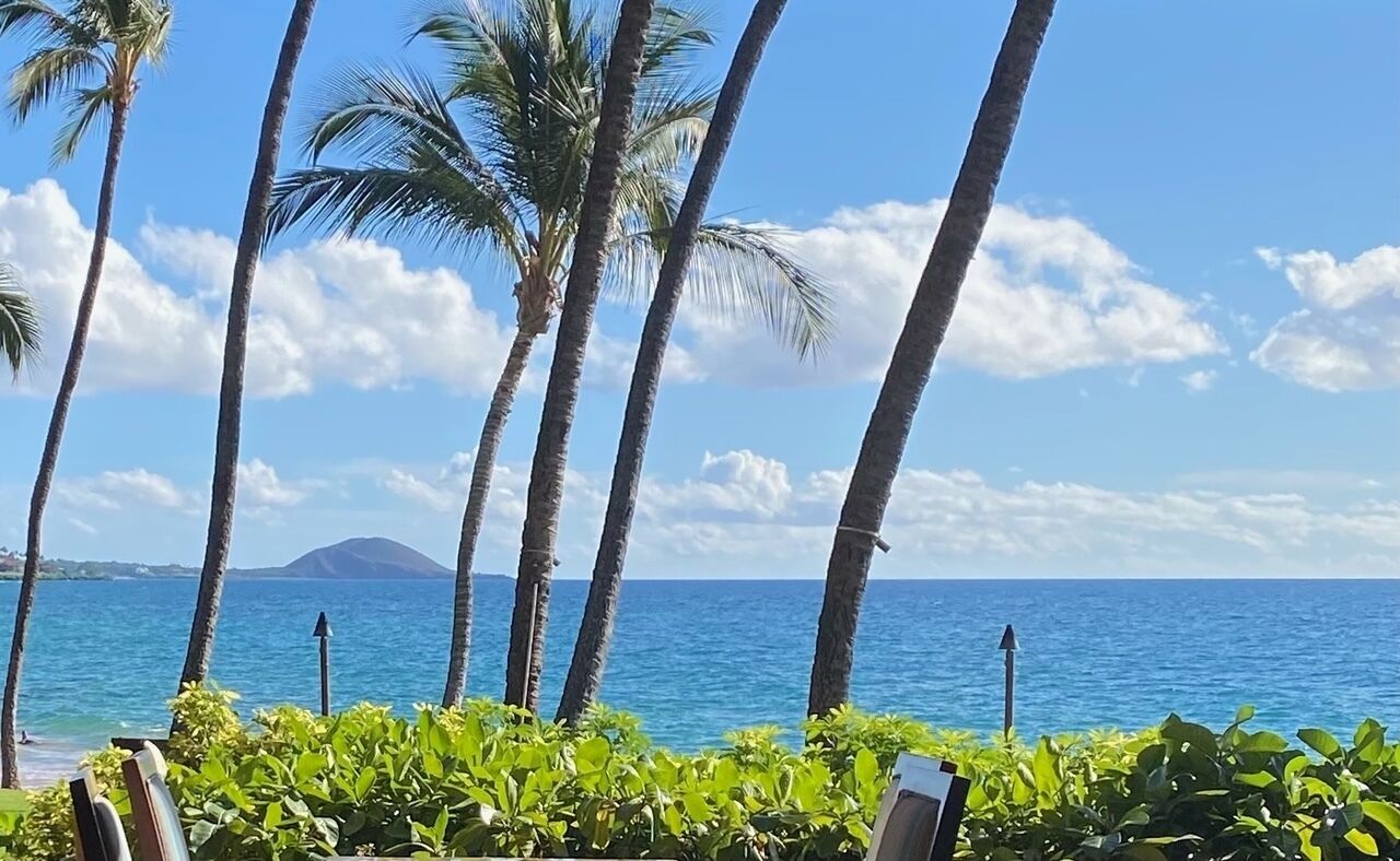 Plage à proximité, chaises longues, serviettes de plage