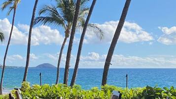 Plage à proximité, chaises longues, serviettes de plage