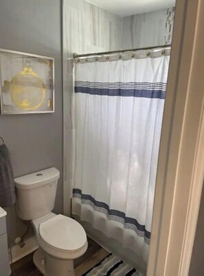 Douche, séchoir à cheveux, serviettes fournies, papier de toilette