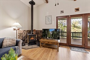 Smart TV, fireplace, table football, books