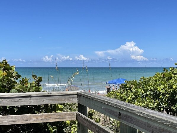 Property grounds - Amazing Beachside Casa Azul- 2 mins from beach (Indian Harbour Beach)