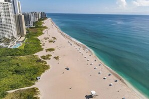 A beach with a row of beach umbrellas and lounge chairs, adjacent to a high-rise building.
