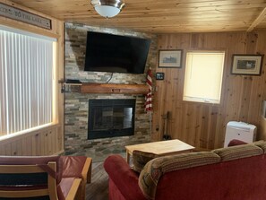 TV, DVD player, video library