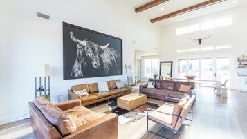 TV connectée, cheminée, livres