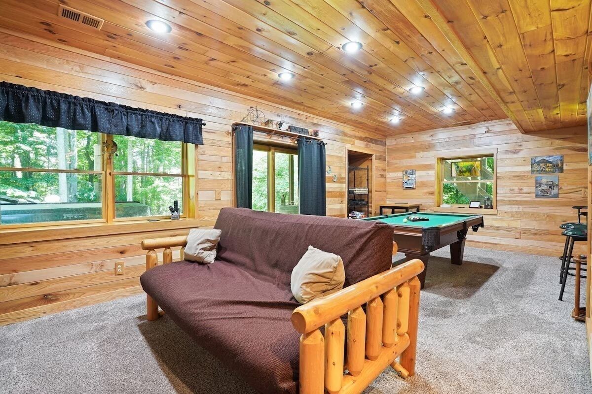 Smart TV, fireplace, books, video library