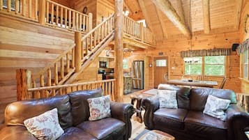 TV connectée, cheminée, livres, vidéothÚque