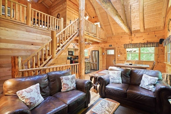 Smart TV, fireplace, books, video library