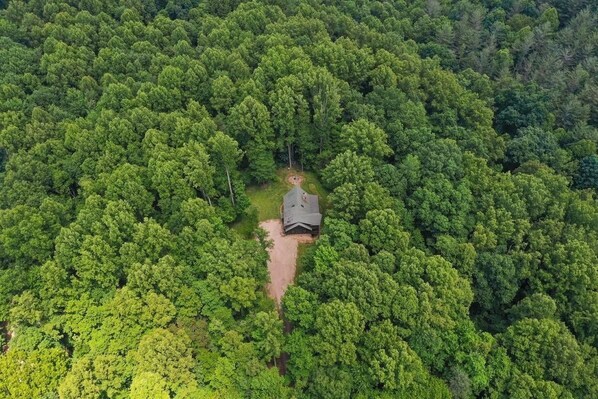 An aerial view of a forested area with a single building surrounded by dense trees.