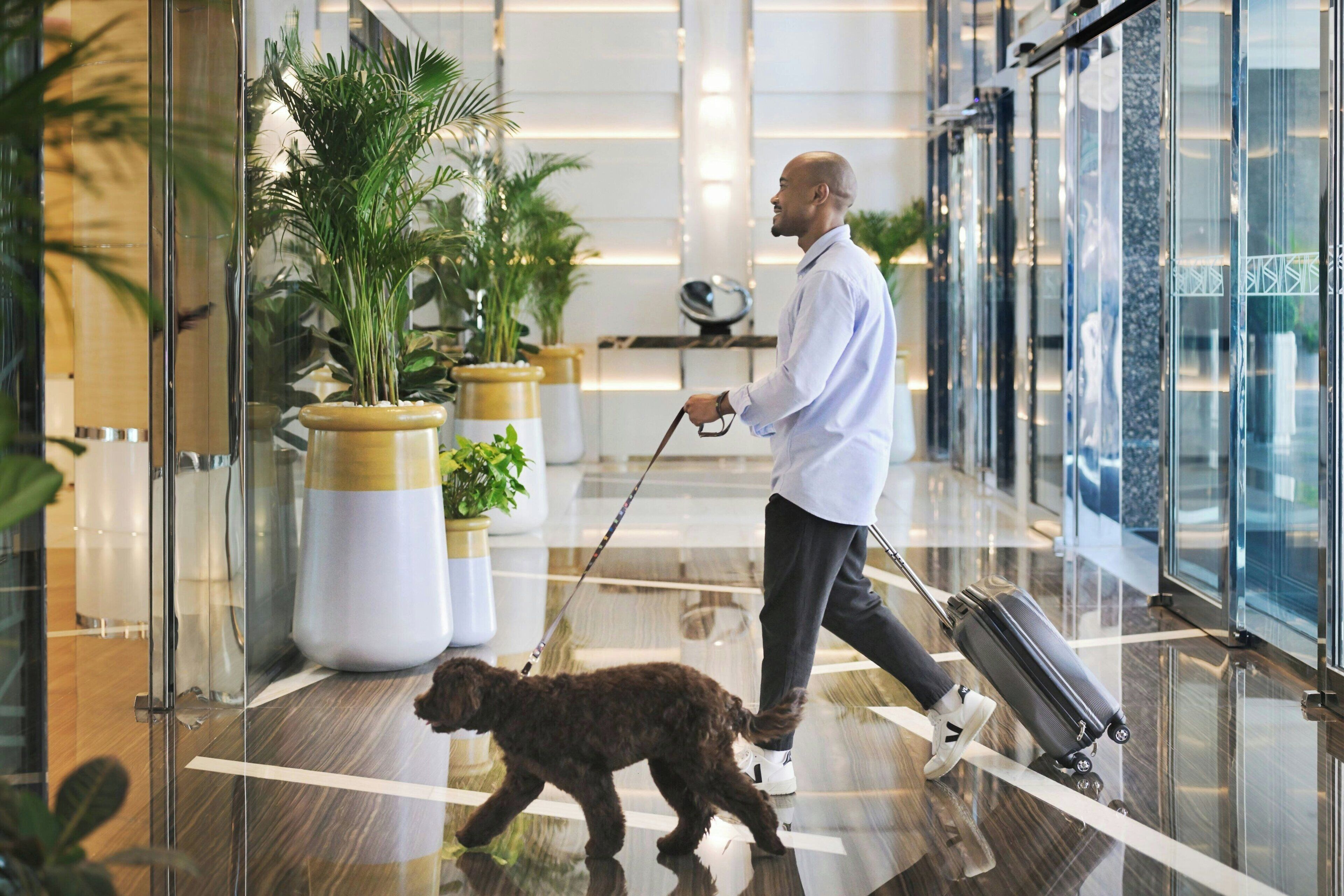 Foto - Marriott Resort Palm Jumeirah, Dubai