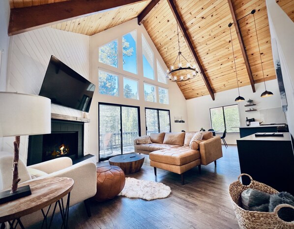 Smart TV, fireplace, books