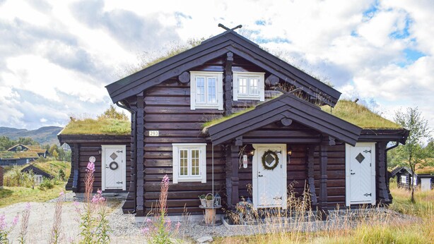 A two-story log cabin with a thatched roof, numbered 293, featuring a front porch and a small garden area.