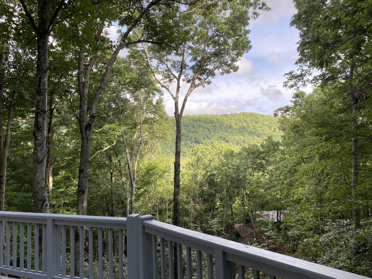 A forested area with a wooden deck.