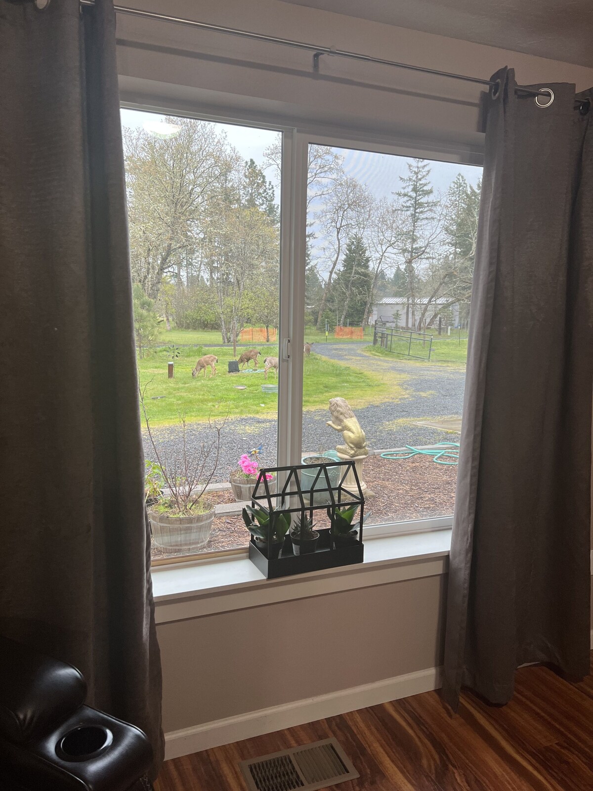 オーナーのプロフィール画像