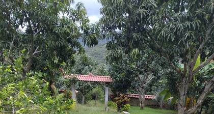 Beautiful Country House with pool in San Joaquín