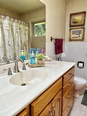 Duschwanne, Handtücher, Seife, Shampoo