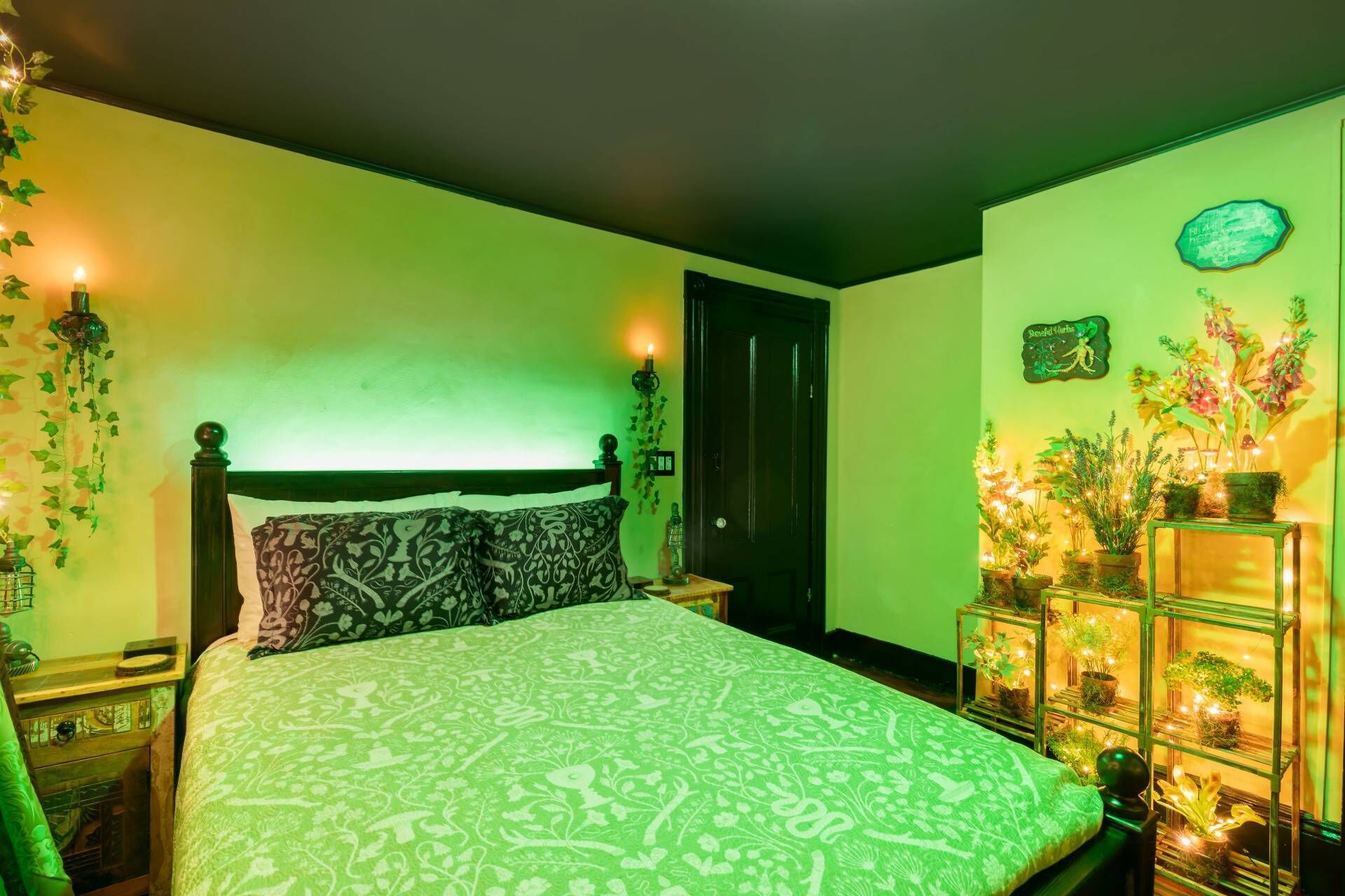 A bedroom with a bed, bedside tables, a nightstand, a door, and a wall-mounted shelf with plants.