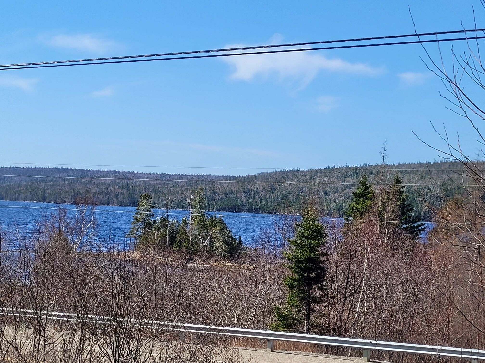 Une vue d’un lac, avec des arbres et une colline boisée en arrière-plan.