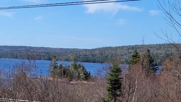 Une vue d’un lac, avec des arbres et une colline boisée en arrière-plan.