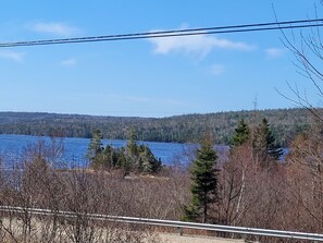 Une vue d’un lac, avec des arbres et une colline boisée en arrière-plan.