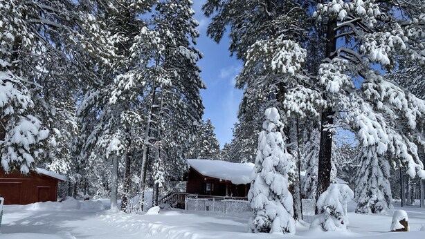 Eine Hütte, umgeben von schneebedeckten Bäumen.