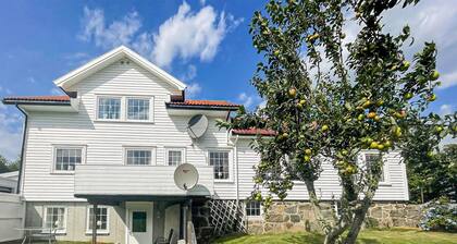 Lovely apartment in Vanse with WiFi