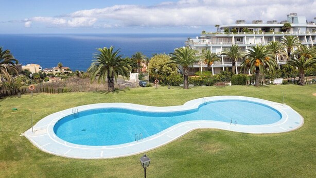 Una piscina con diseño curvo, rodeada de césped cuidado y palmeras, con vista al océano y un edificio grande al fondo.