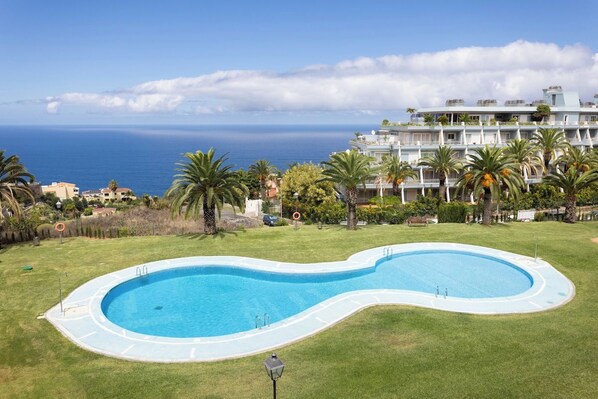 A swimming pool surrounded by grass, palm trees, and a view of the ocean and a hotel building.